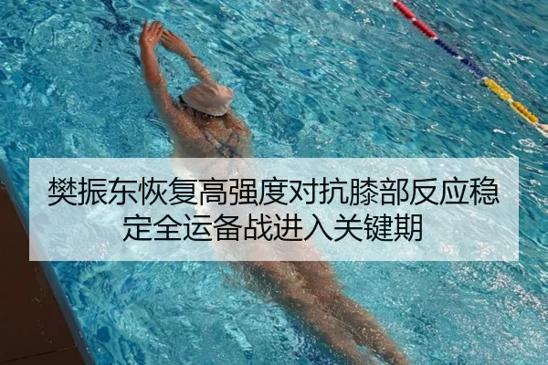 樊振东恢复高强度对抗膝部反应稳定全运备战进入关键期